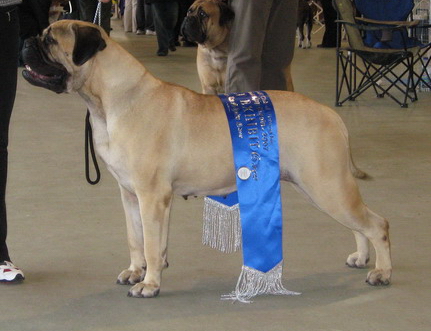BISS 2007a