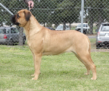 Xena 1709114