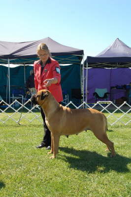 db_best owner bred + handled1